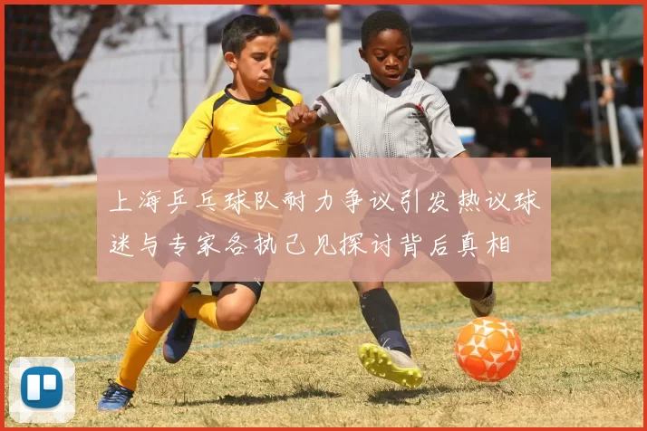 上海乒乓球队耐力争议引发热议球迷与专家各执己见探讨背后真相