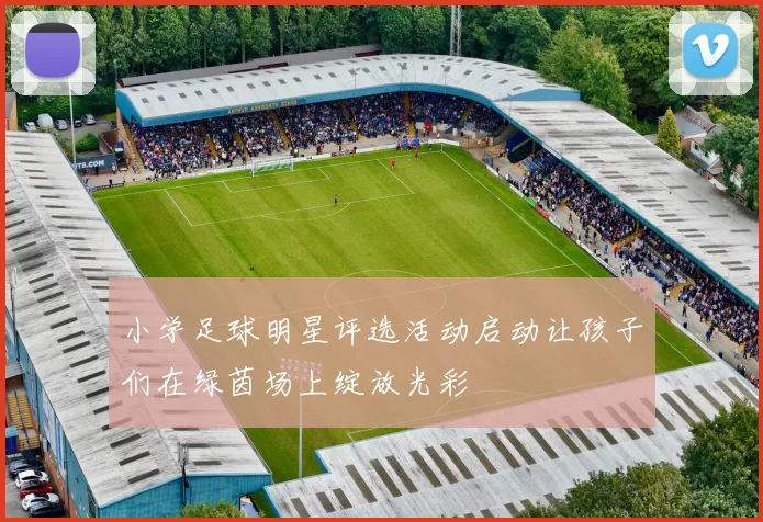 小学足球明星评选活动启动让孩子们在绿茵场上绽放光彩