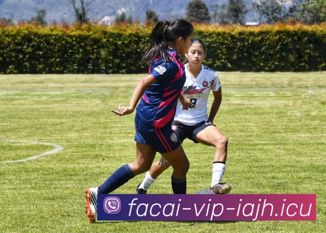 乐鱼体育品牌故事