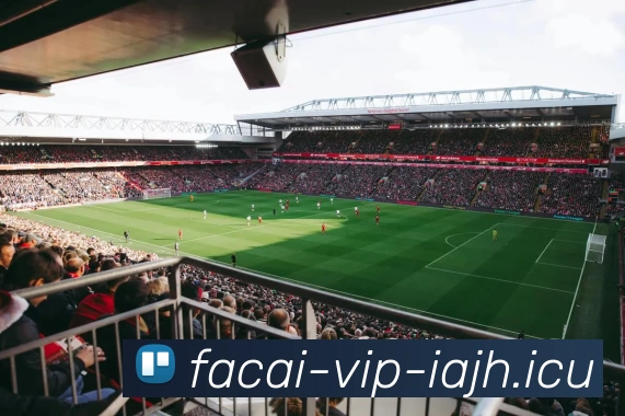 乐鱼体育服务体系